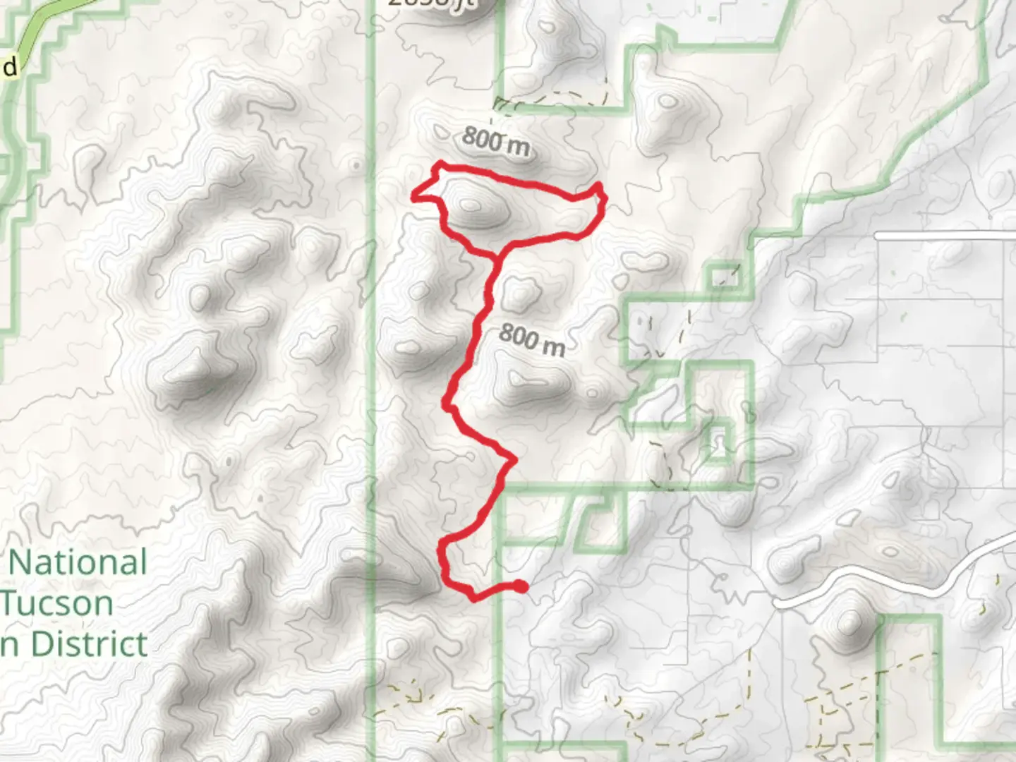 An image depicting the trail Thunderbird - Cactus Canyon - Coyote Pass Loop Trail and its surrounding area.