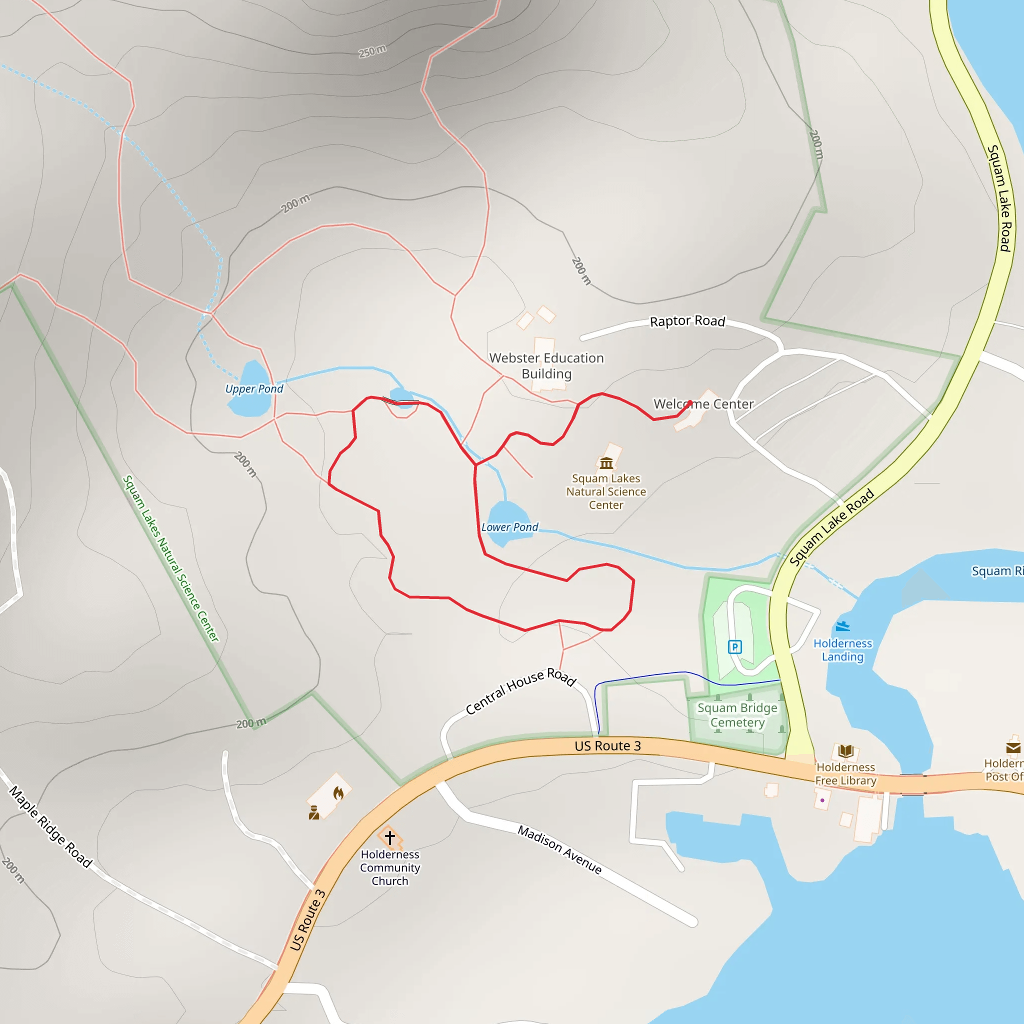 Holderness - Lower Pond Loop Trail mobile static map