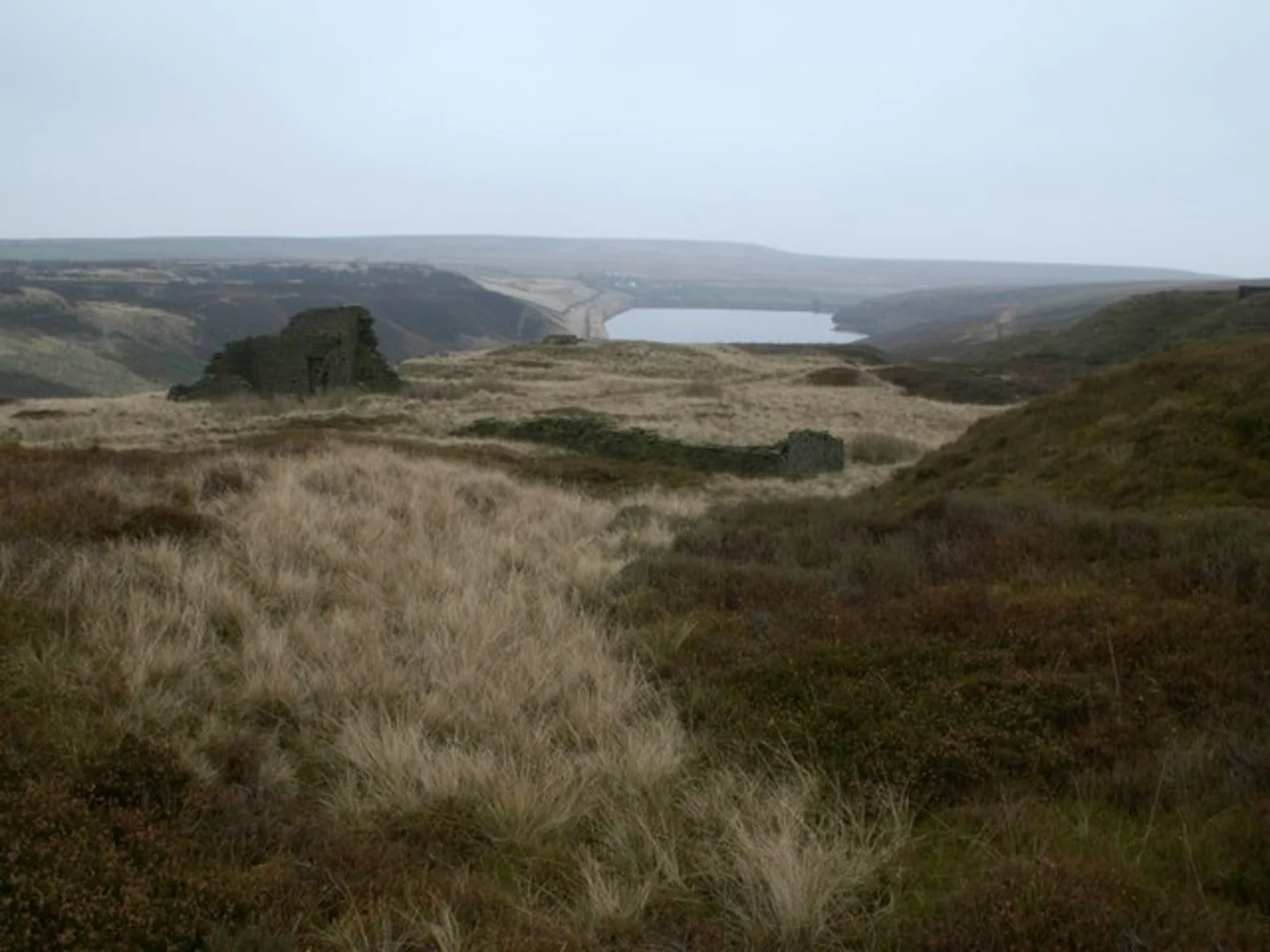 An image depicting the trail Harden Short Loop and its surrounding area.