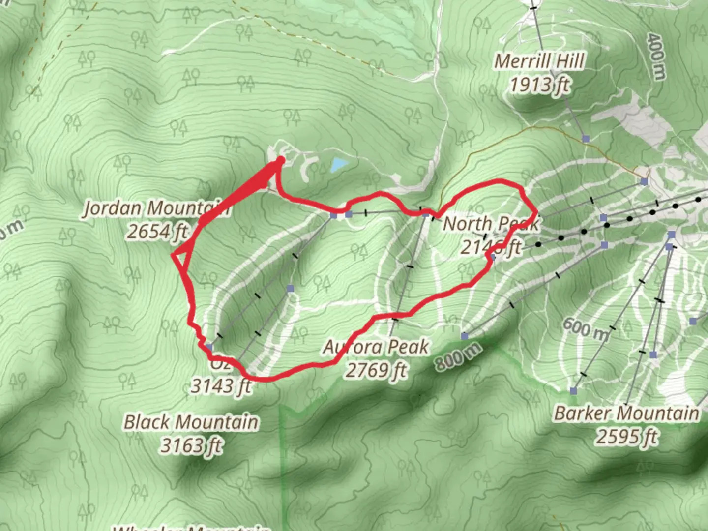 An image depicting the trail Merrill Brook Loop and its surrounding area.