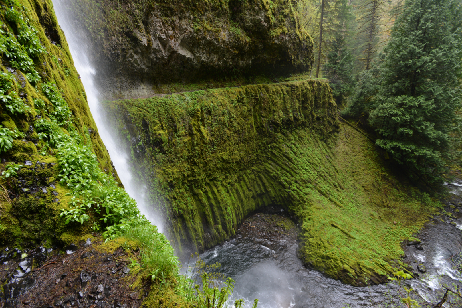 An image depicting the trail Indian Springs Trail and its surrounding area.
