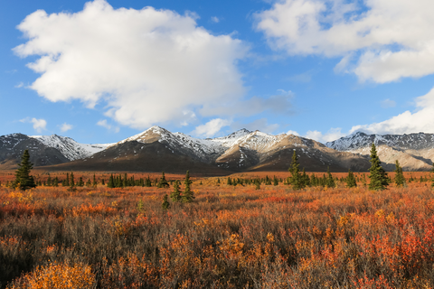 An image depicting the trail Roadside Trail and its surrounding area.