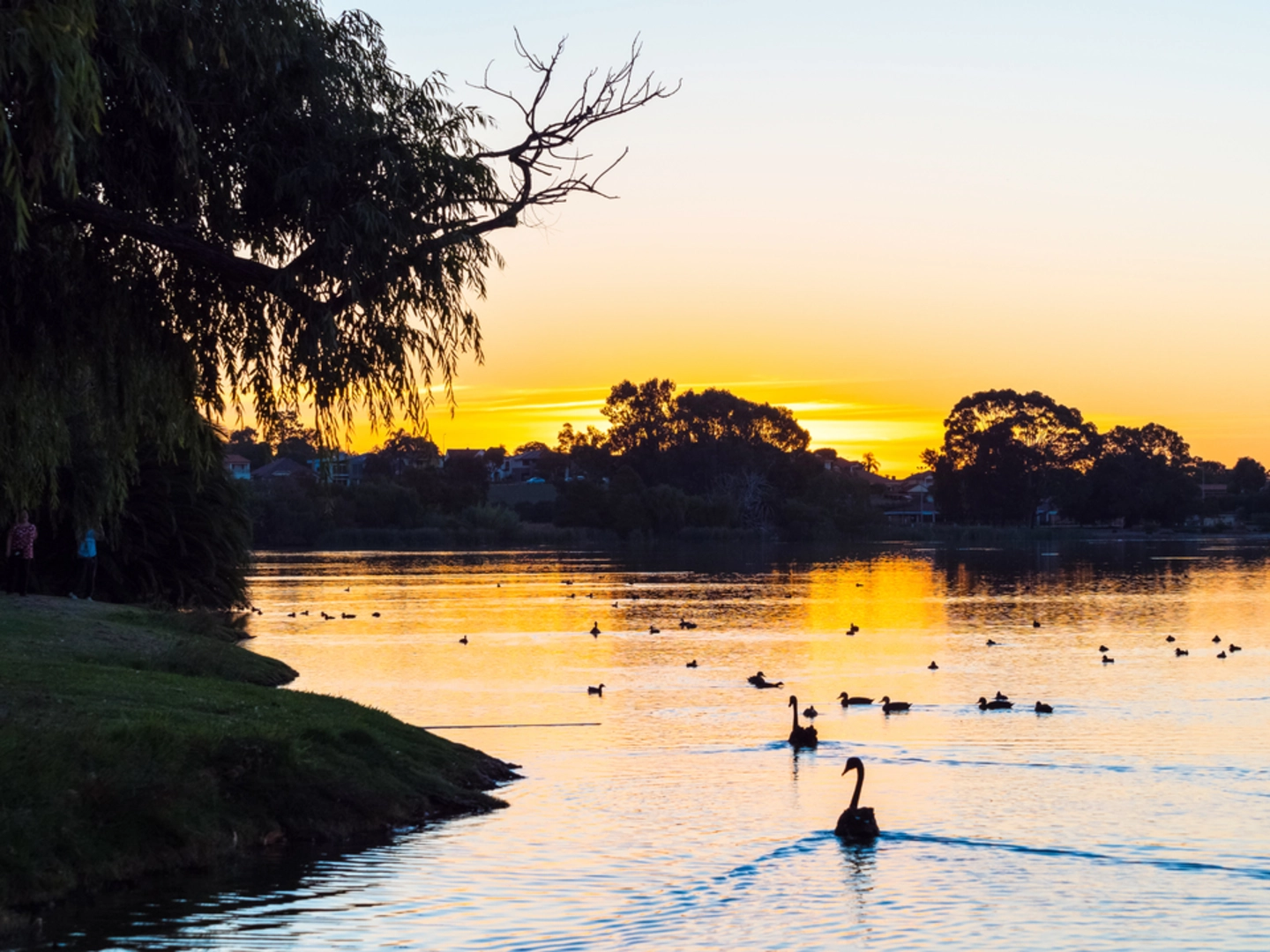 An image depicting the trail Lake Monger Walk and its surrounding area.