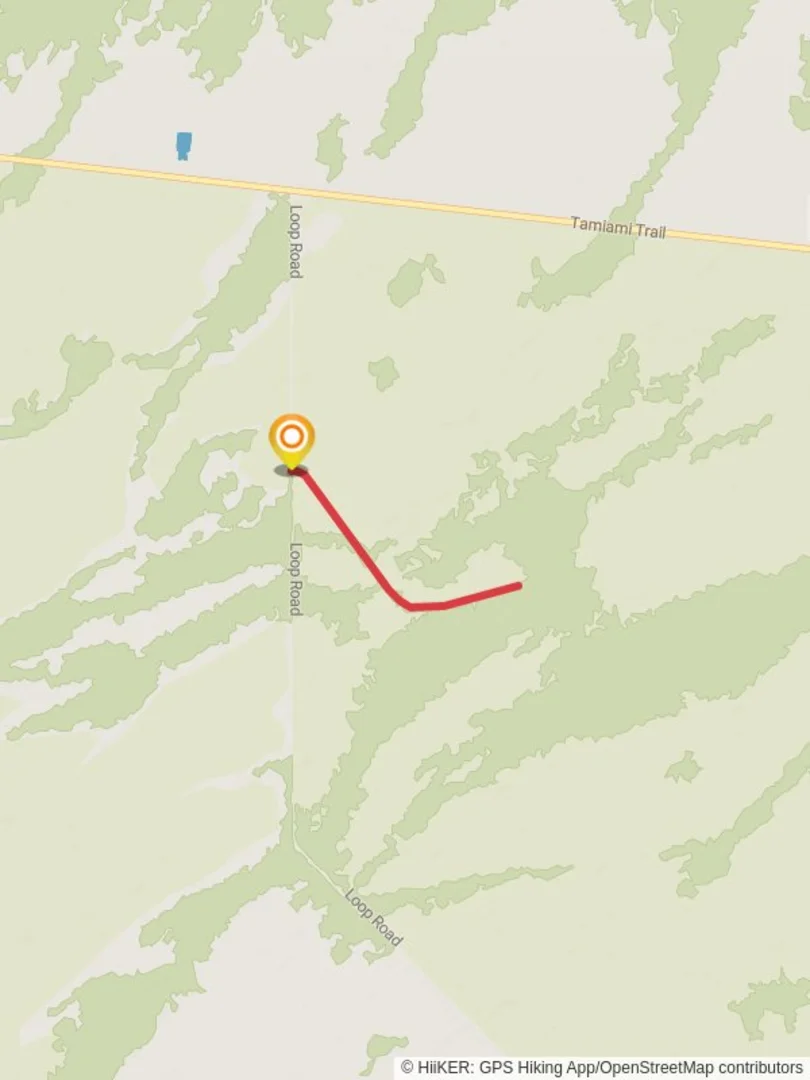 An image depicting the trail Gator Hook Trail and its surrounding area.