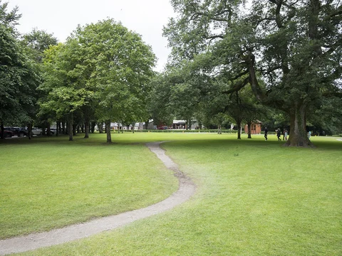 An image depicting the trail Killarney Blue Pool Loop and its surrounding area.