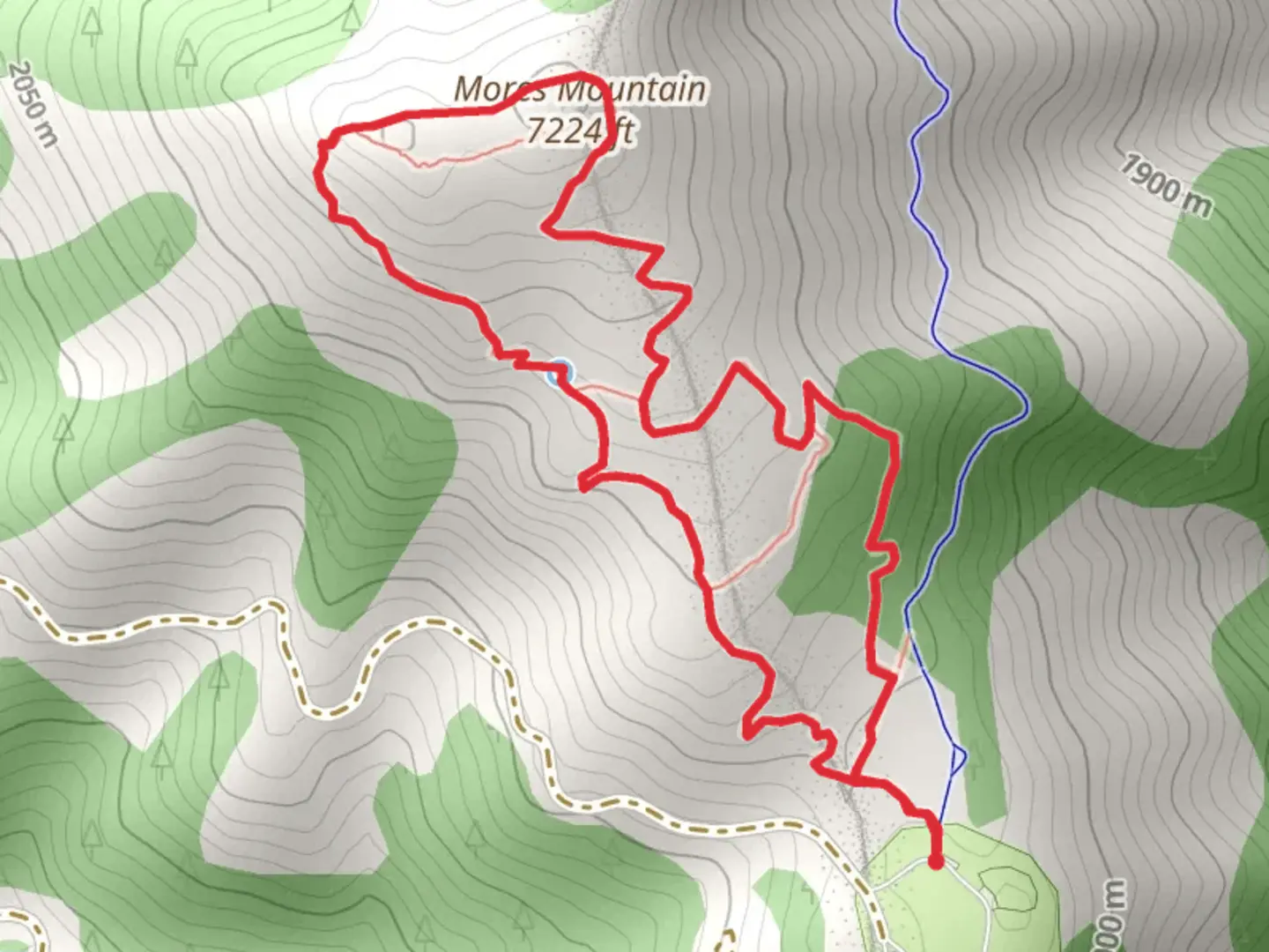 An image depicting the trail Mores Mountain Loop and its surrounding area.