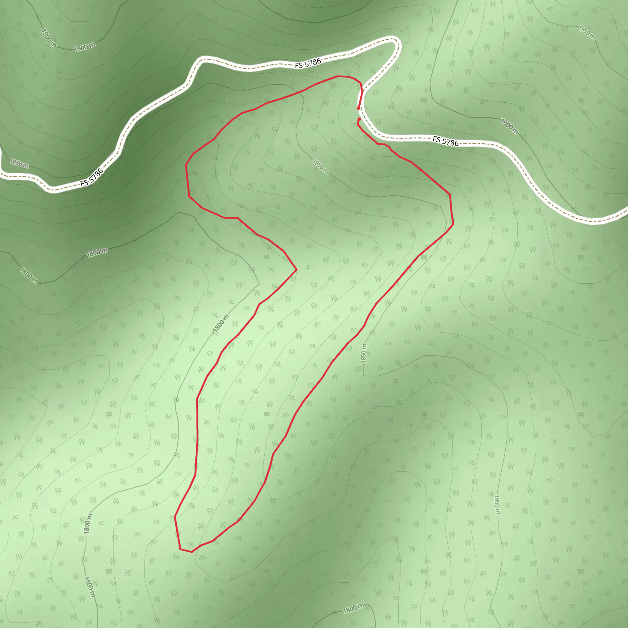 East Fork Bertie Lord Loop Trail mobile static map