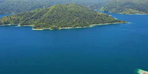 An image depicting the trail Lake Waikaremoana Loop and its surrounding area.