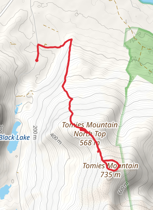 TomiesMountain mobile static map