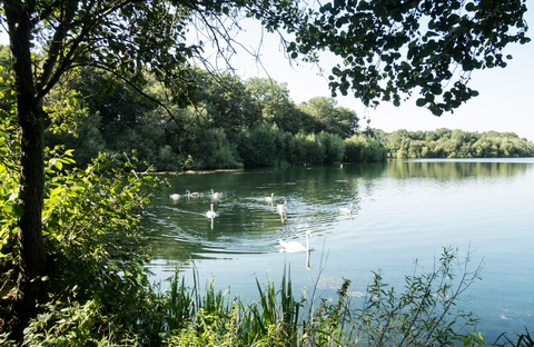 An image depicting the trail Stanmore Common and its surrounding area.