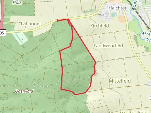 Freundschaftsbuchenweg Loop