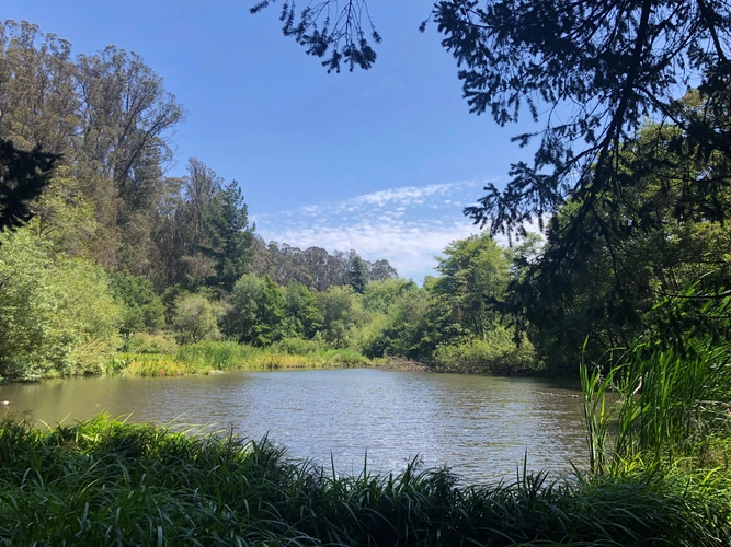 Jewel Lake and Laurel Creek Loop