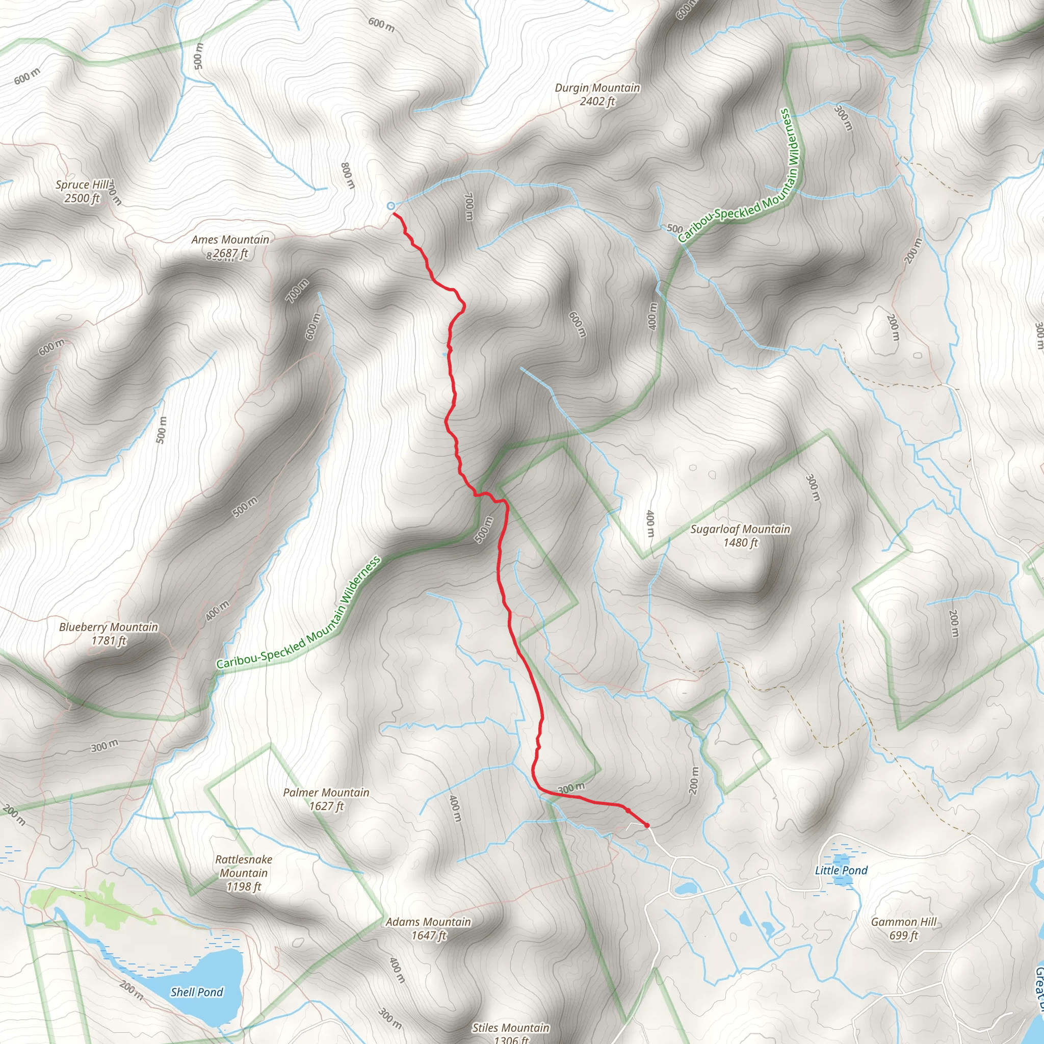 Speckled Mountain mobile static map
