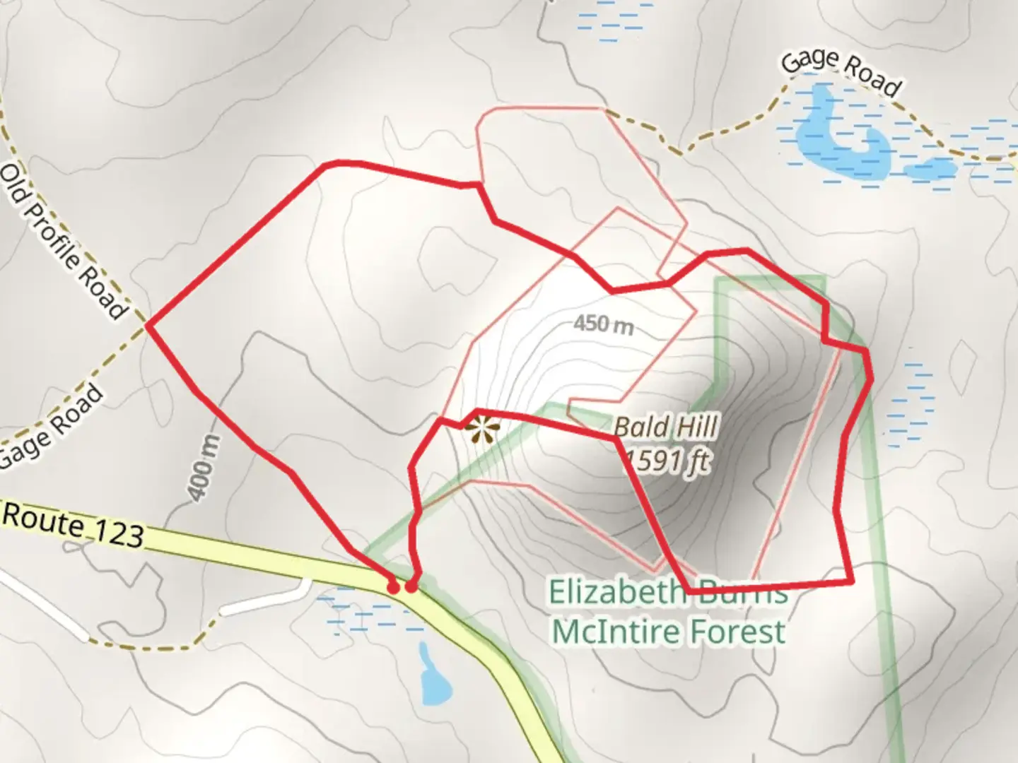 An image depicting the trail Bald Hill Loop and its surrounding area.