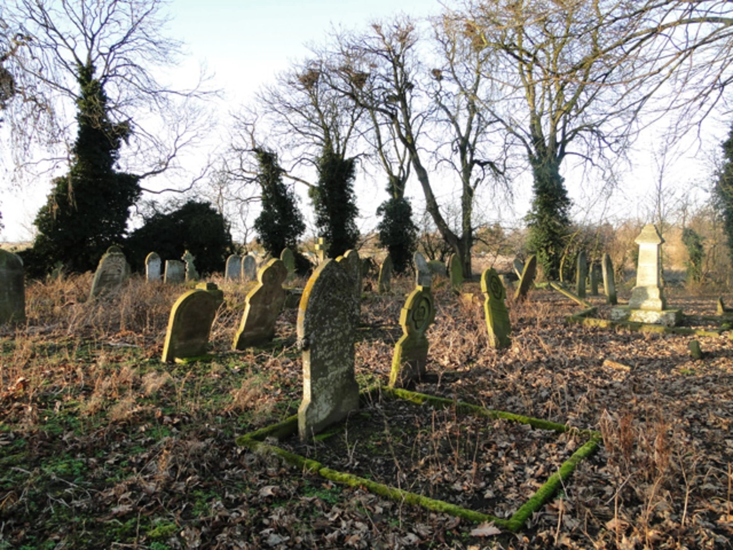 An image depicting the trail Sutton St Edmund Walk and its surrounding area.