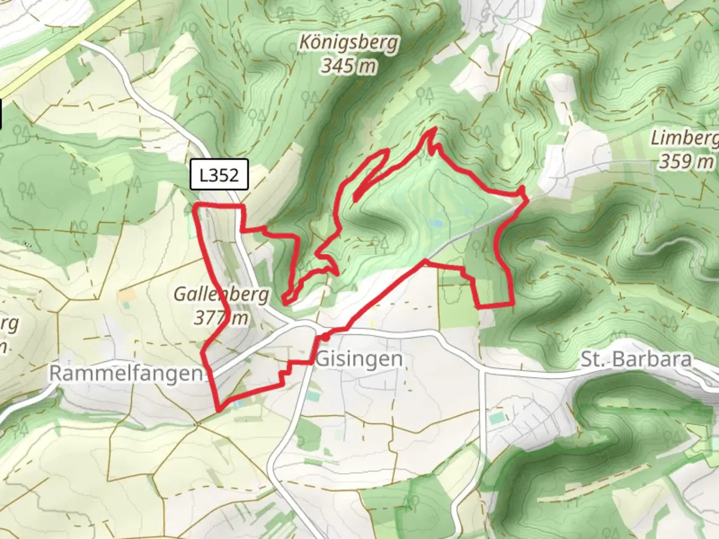 An image depicting the trail Gallenberg, Husterheck and Hasen Loop and its surrounding area.