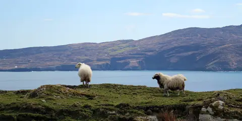 An image depicting the trail Funeral Path Loop and its surrounding area.