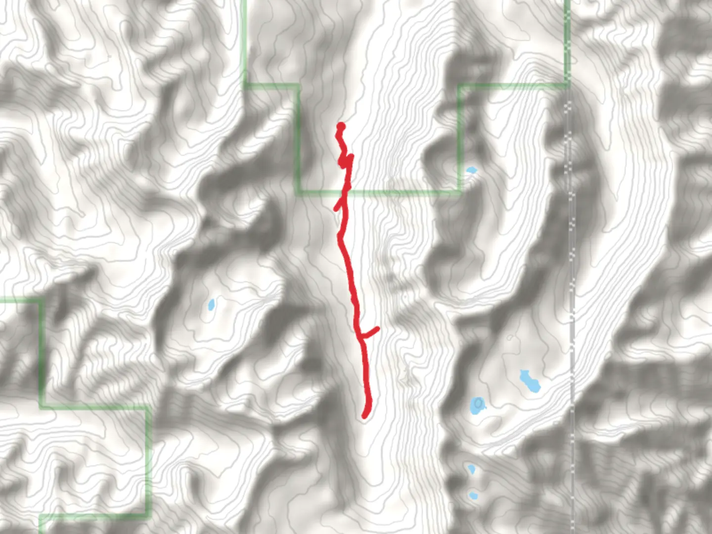 An image depicting the trail Champagne Falls and its surrounding area.