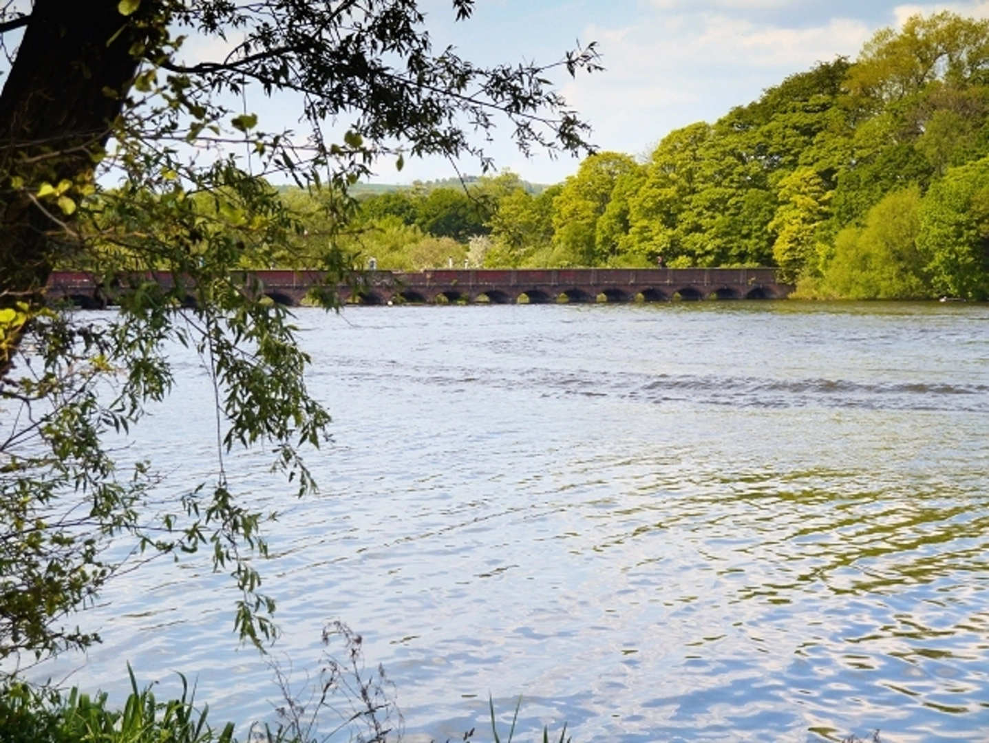 An image depicting the trail Carr Mill Dam Loop and its surrounding area.