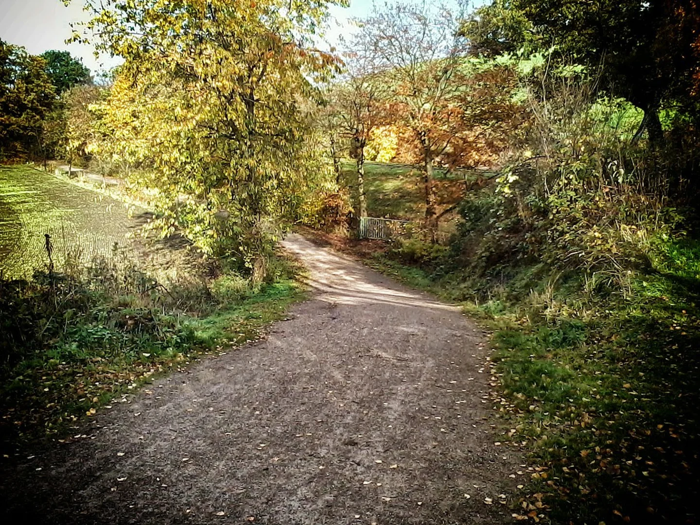An image depicting the trail NSG Emscherbruch Loop and its surrounding area.