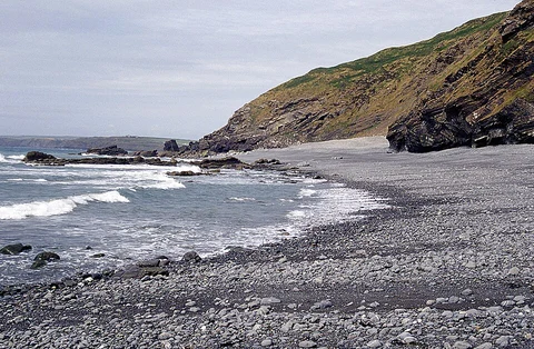 Trebarfoote Wood Loop