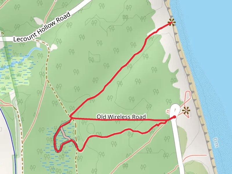 Atlantic White Cedar Swamp Trail - Marconi Station Road