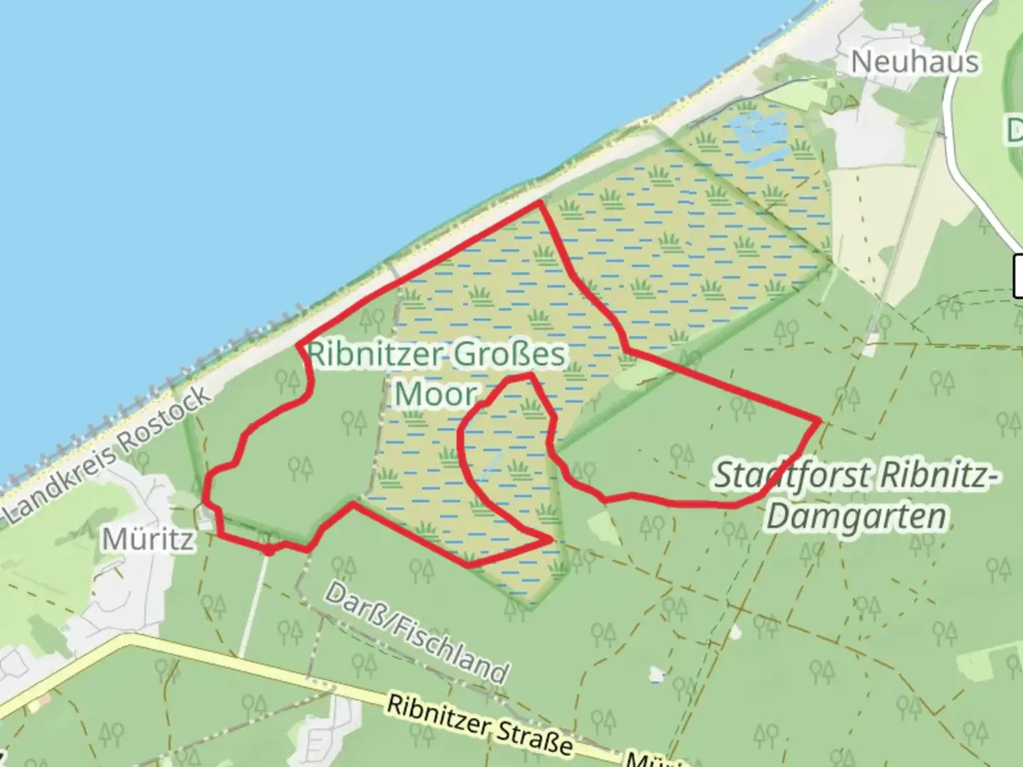 An image depicting the trail Ribnitzer Großes Moor Loop and its surrounding area.