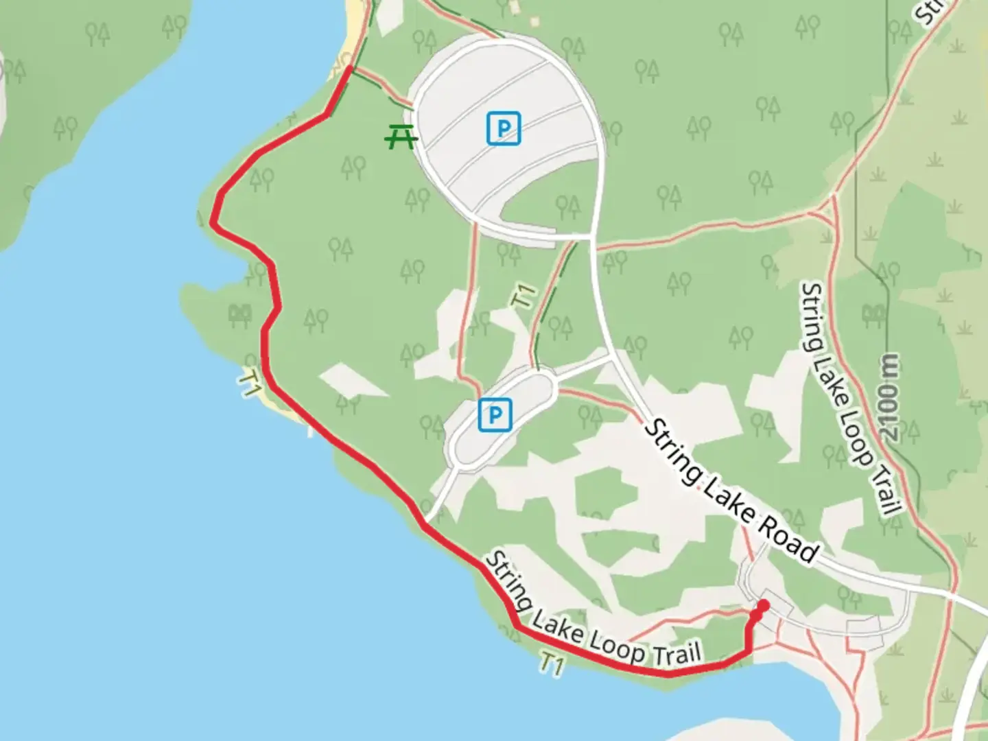 An image depicting the trail String Lake East Shore Trail and its surrounding area.
