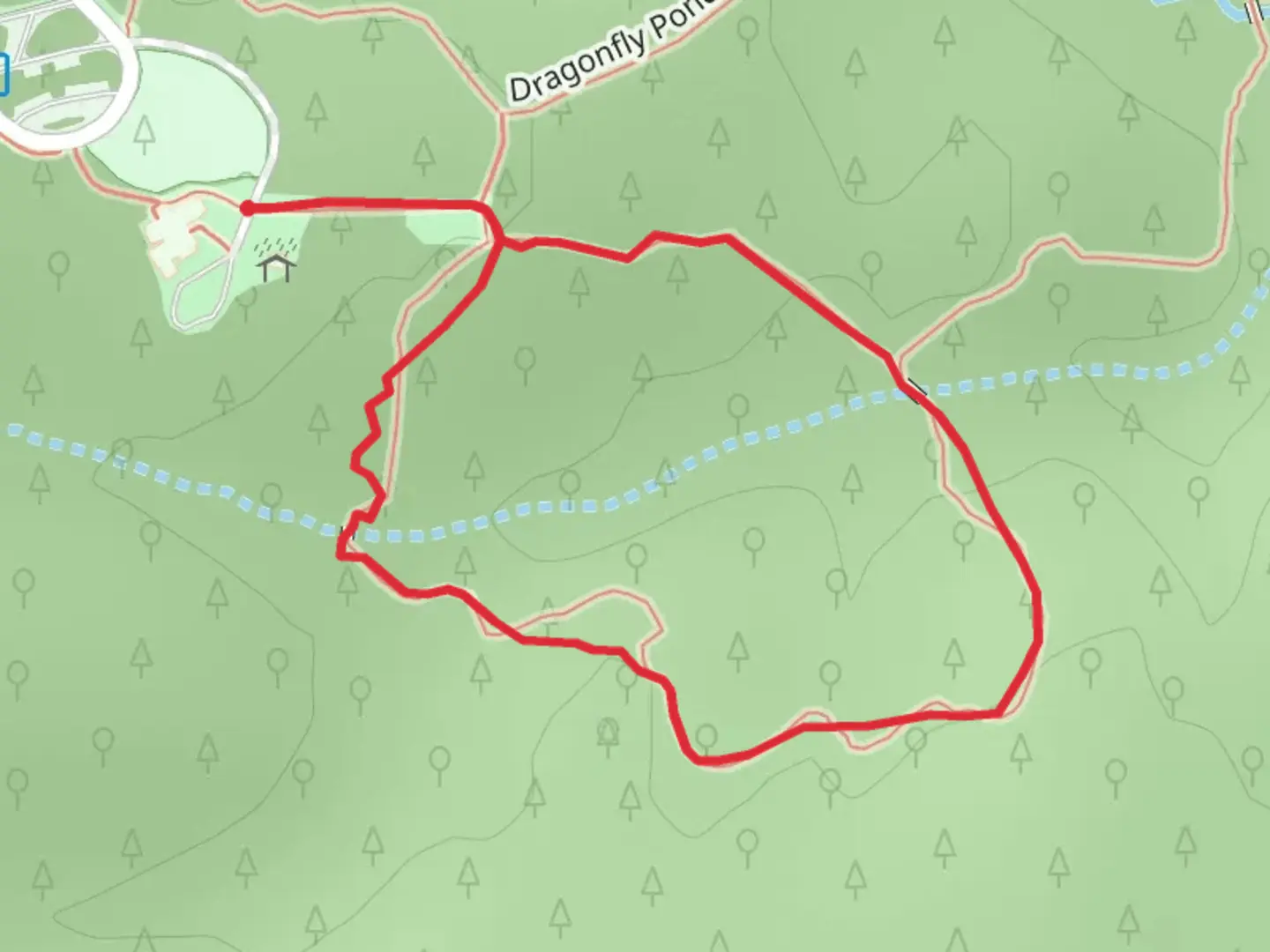 An image depicting the trail Umbrella Tree Loop Trail and its surrounding area.