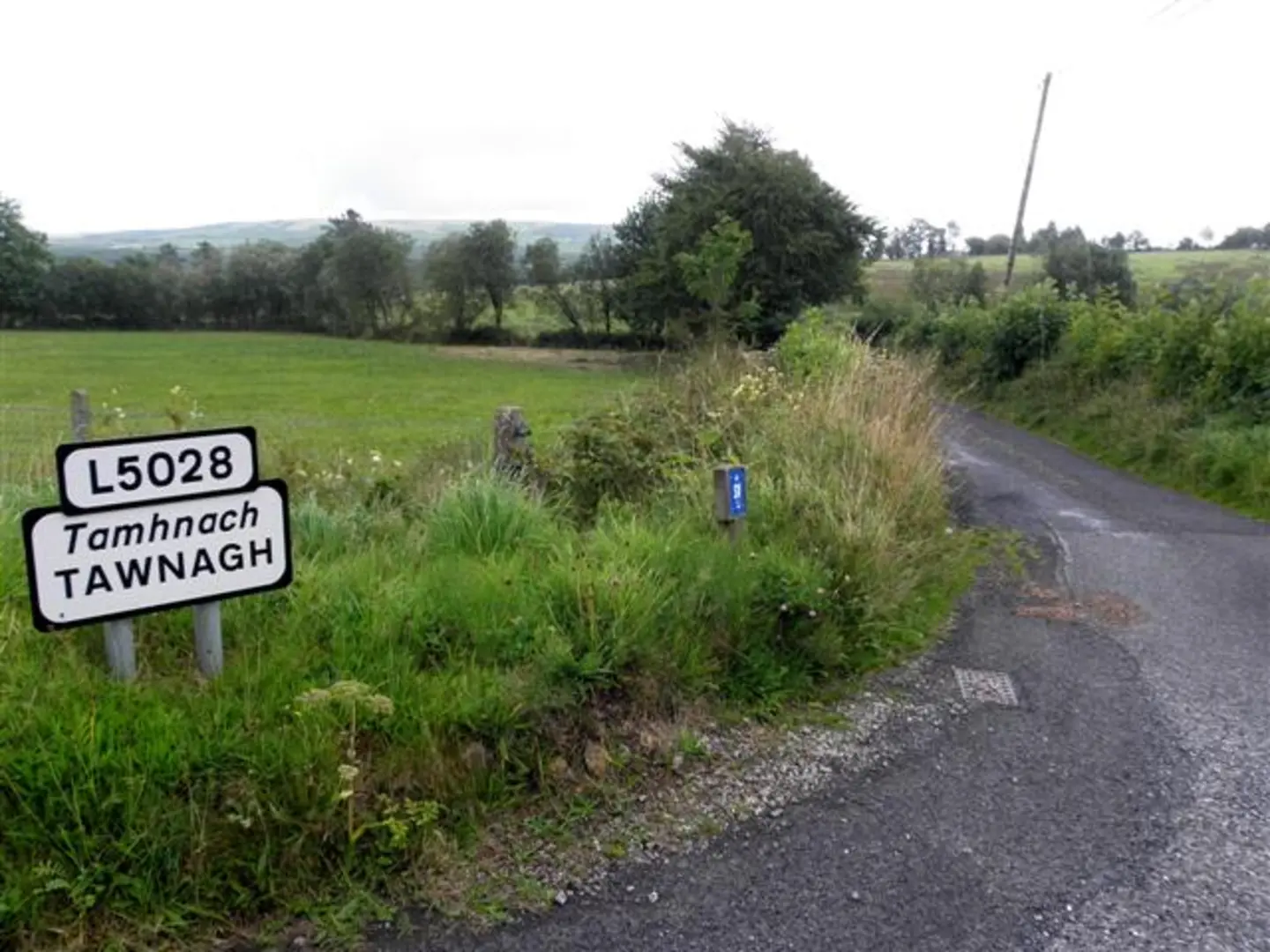 An image depicting the trail Ballinamuck Edenmore Bog Walk and its surrounding area.