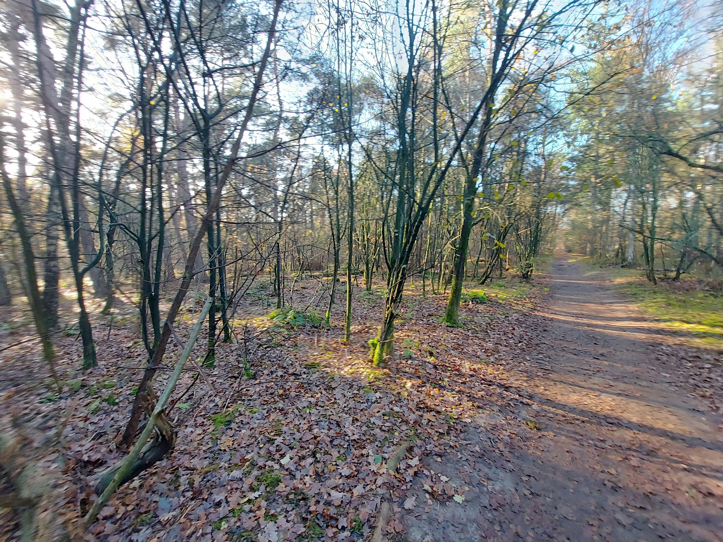 An image depicting the trail Kaapse Bossen and Sandenburg Loop and its surrounding area.