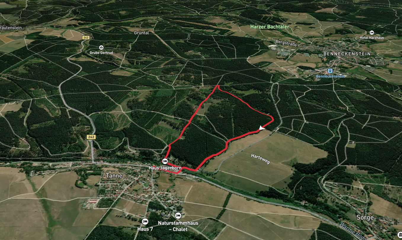 Bachtaler Loop - Tanne