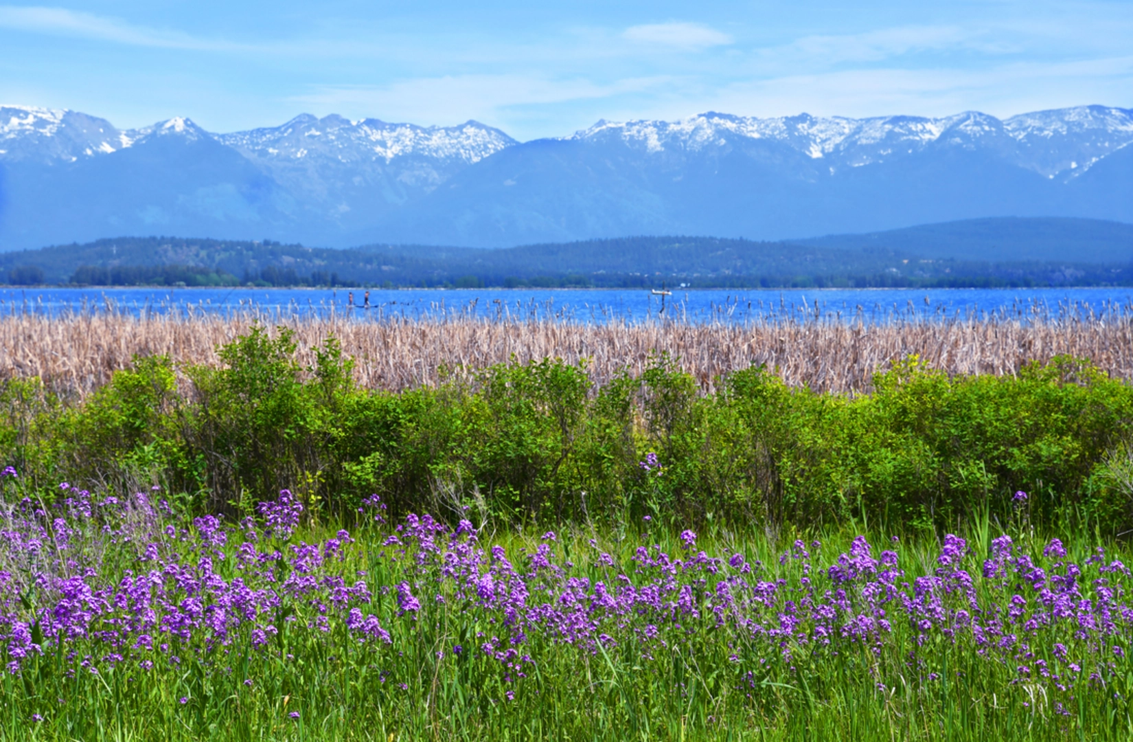 An image depicting the trail Phillips Trail and its surrounding area.