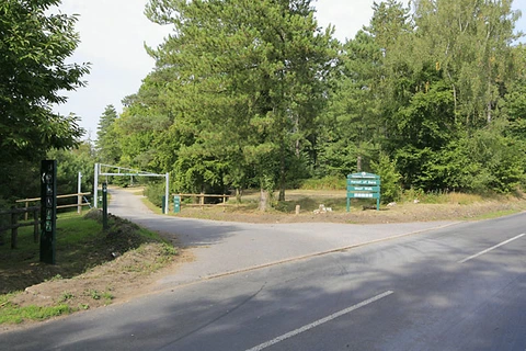 An image depicting the trail Forest of Bere and Upperford Copse Loop and its surrounding area.