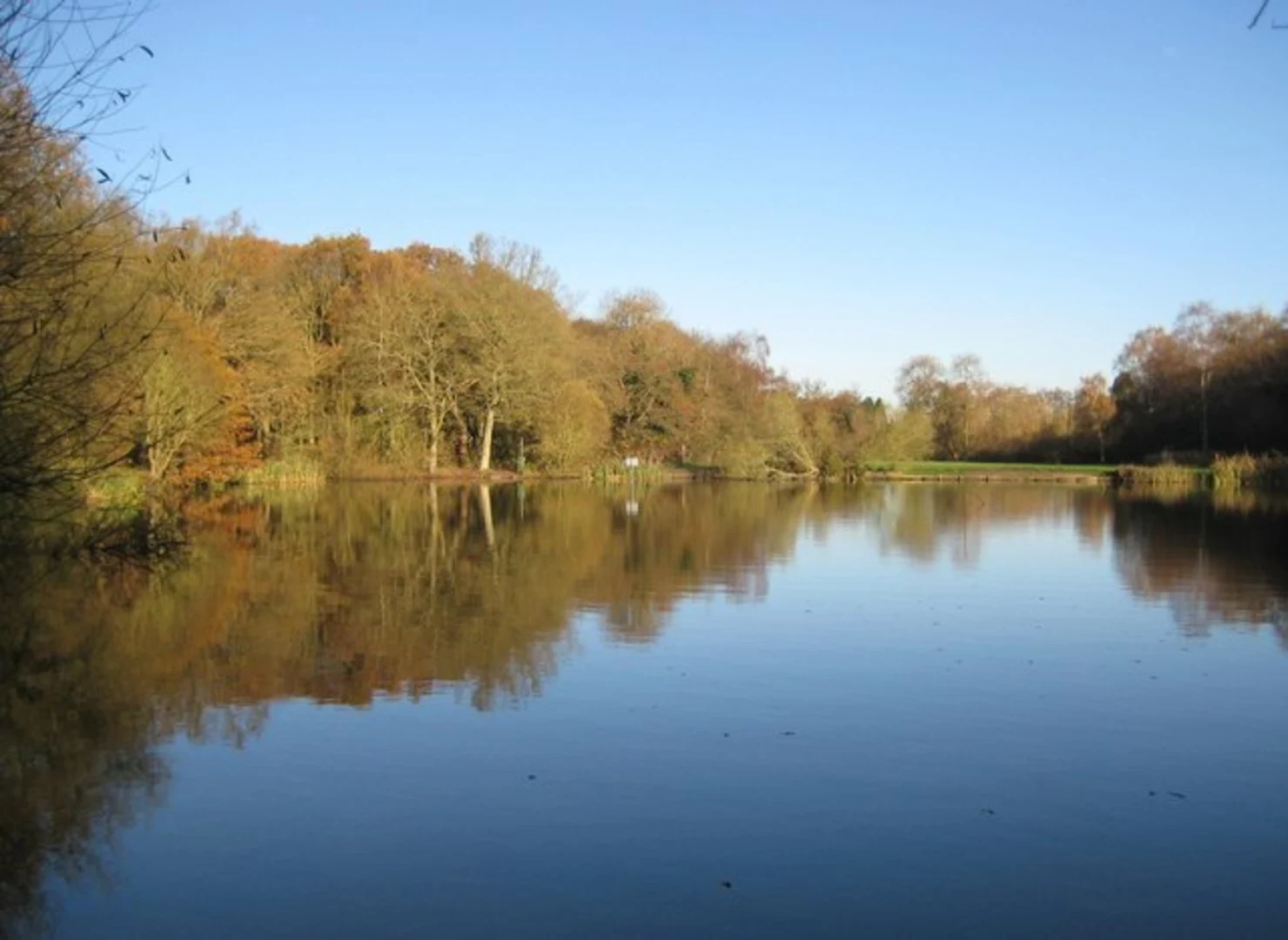 An image depicting the trail Epsom Common and its surrounding area.