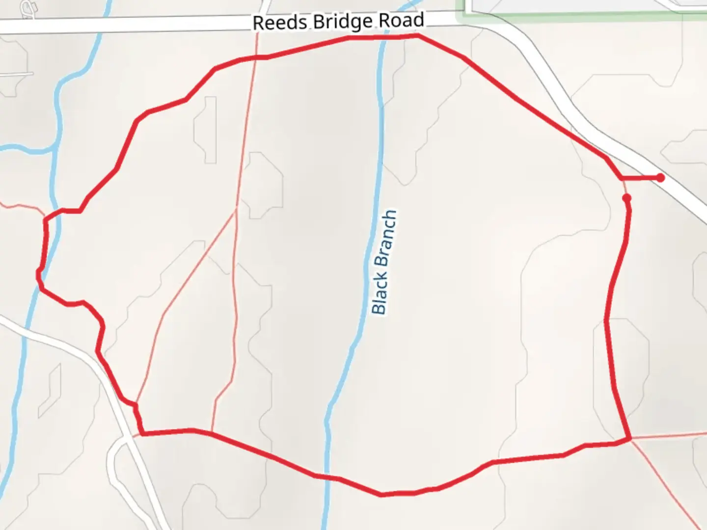 An image depicting the trail Reeds Bridge Road Loop - West and its surrounding area.