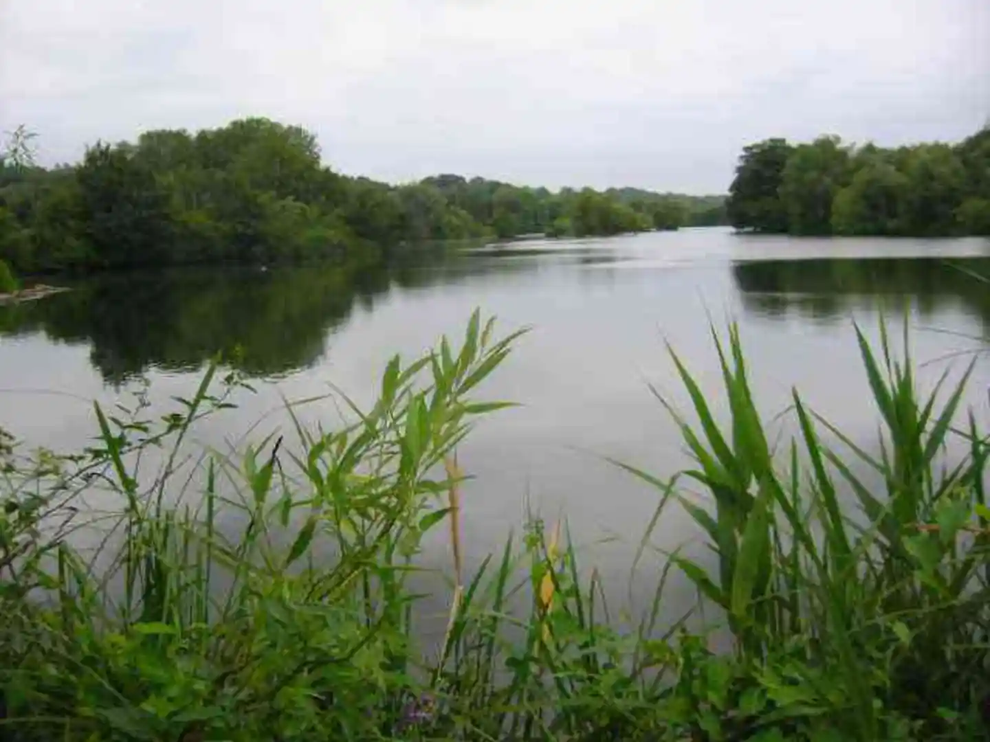 An image depicting the trail Watford to Hayes Walk and its surrounding area.