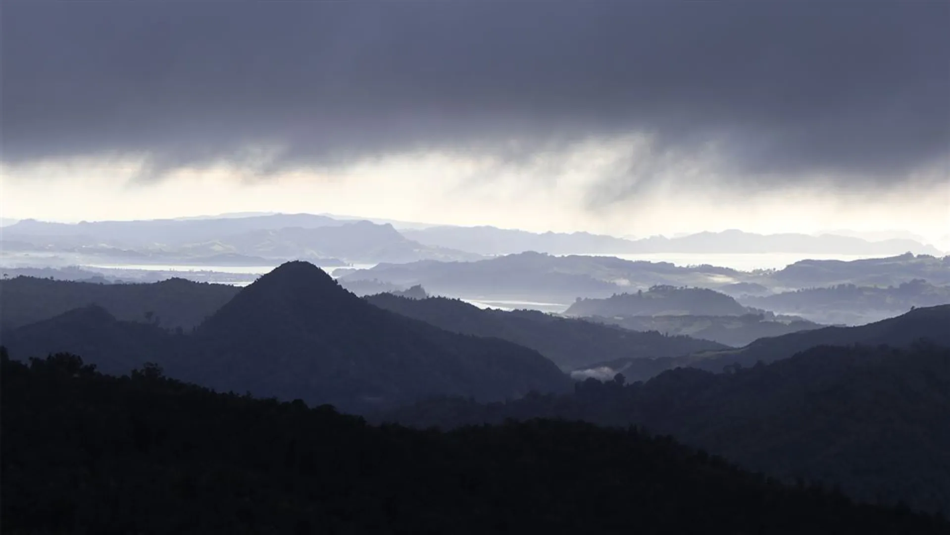 An image depicting the trail Waiomu Track and its surrounding area.