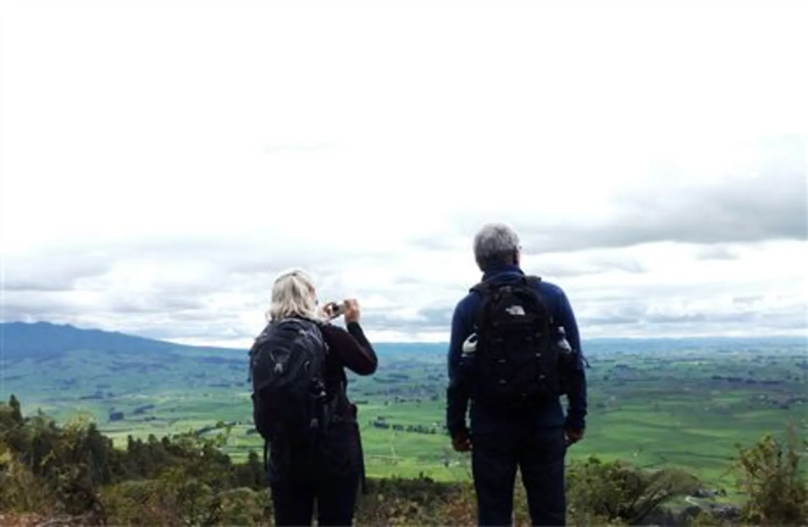 An image depicting the trail Kakepuku Track and its surrounding area.