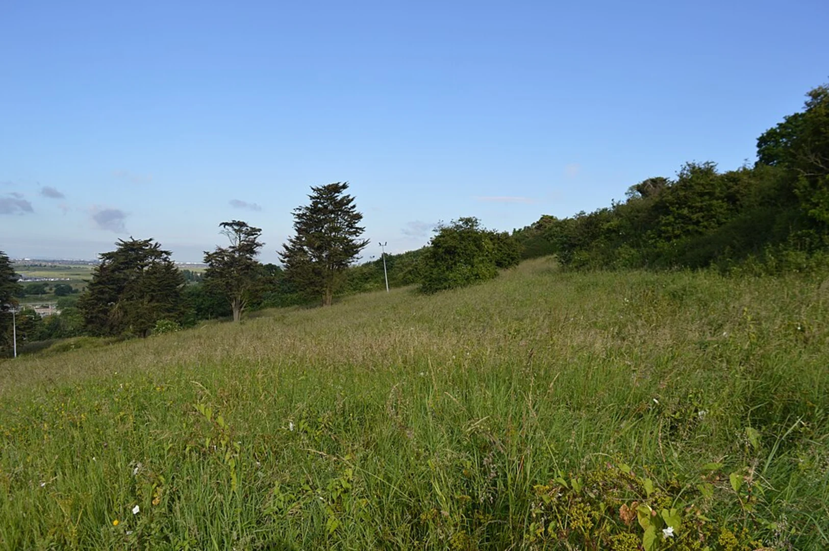 An image depicting the trail Stanford le Hope to Chalkwell Walk and its surrounding area.