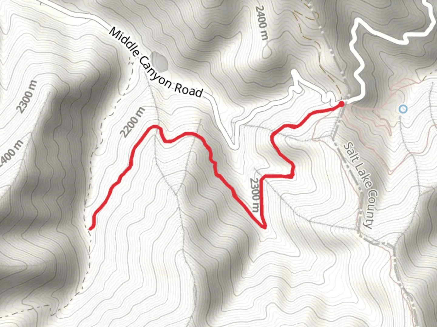 An image depicting the trail White Pine and its surrounding area.