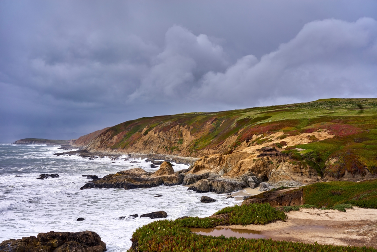 Bodega Head Loop Trail