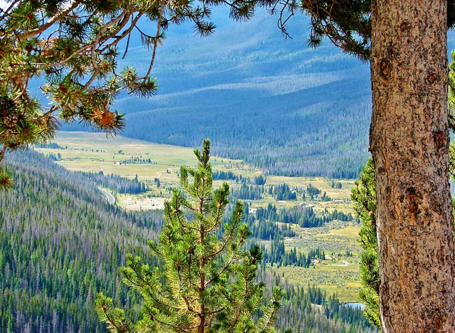 An image depicting the trail Colorado River Trail - La Poudre Pass Trail and its surrounding area.