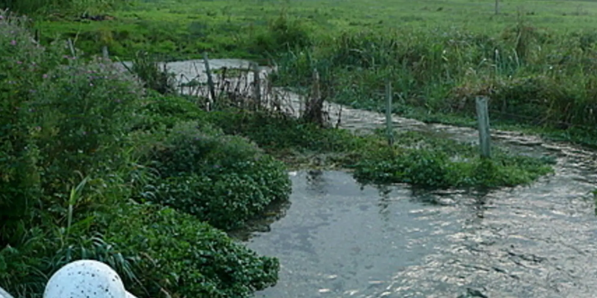 An image depicting the trail Cheriton Mill and Tichborne from Cheriton and its surrounding area.