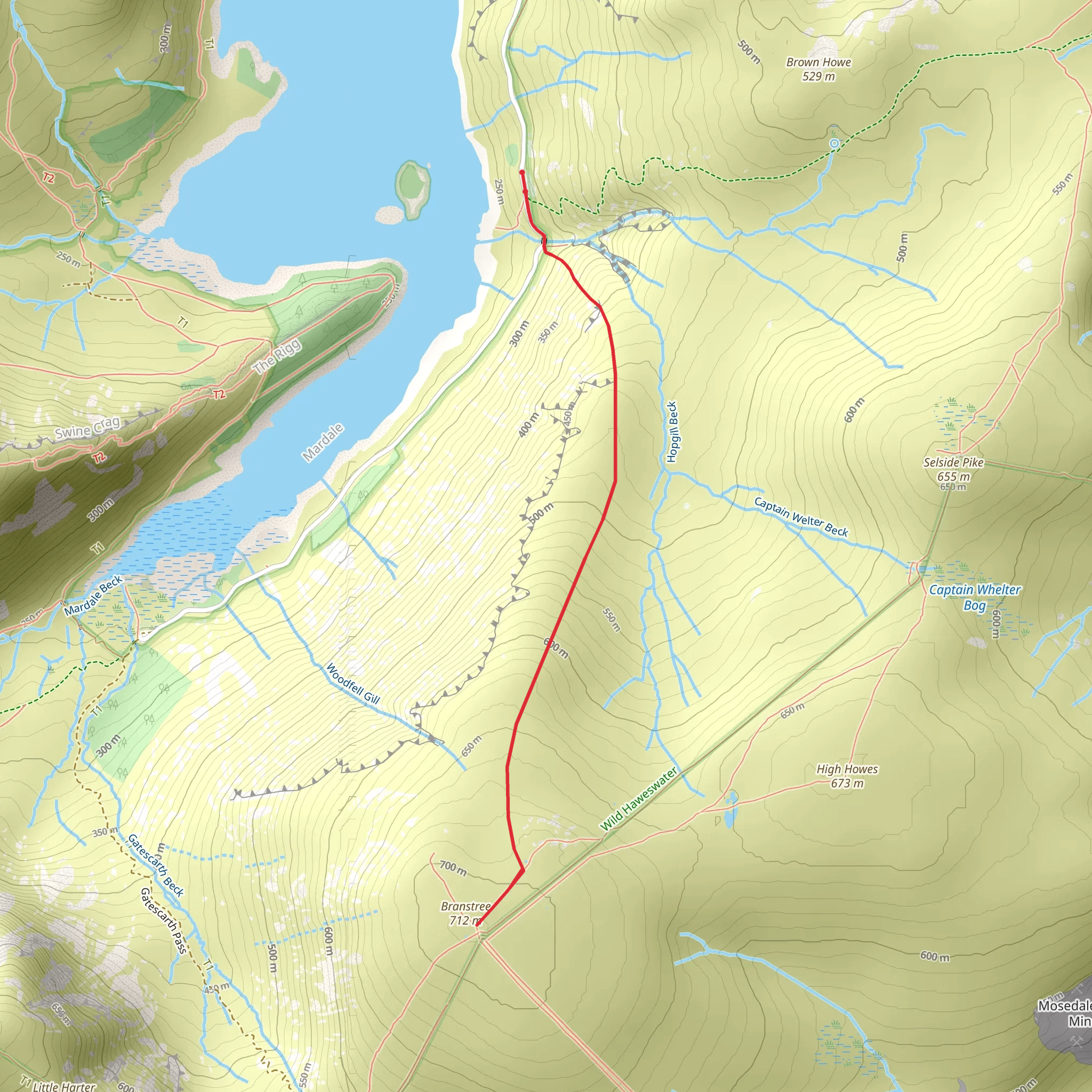 Branstree mobile static map