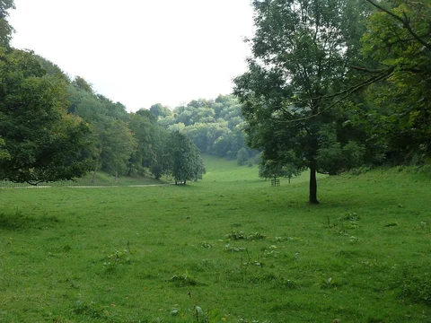An image depicting the trail Woodchester Mansion and woodland walk and its surrounding area.