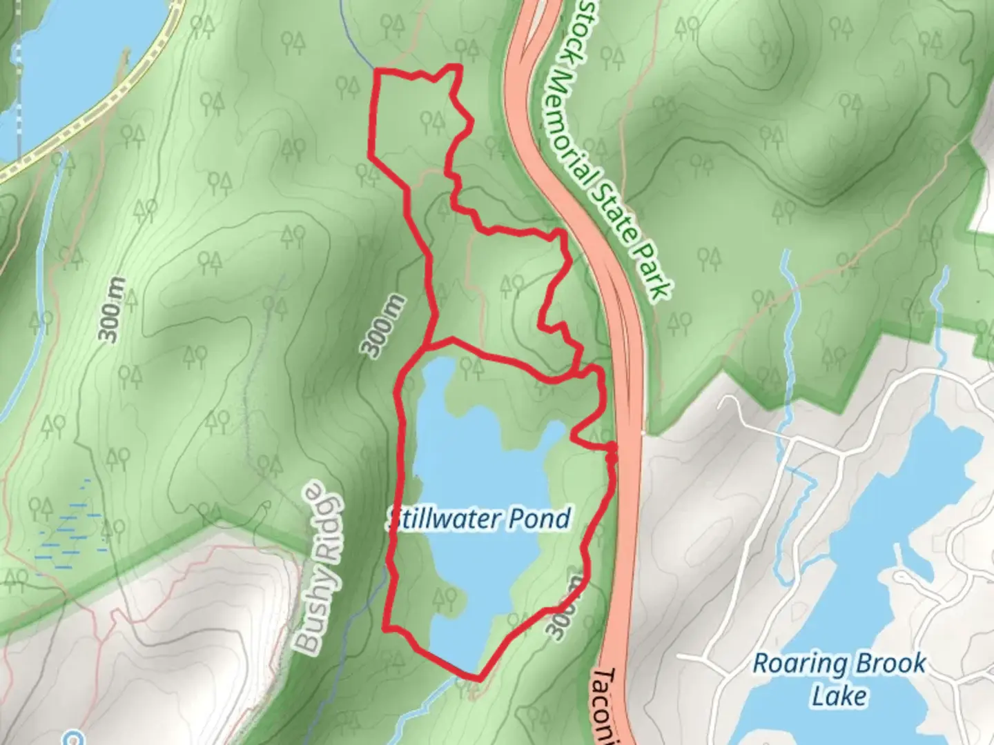 An image depicting the trail Stillwater Pond Loop and its surrounding area.