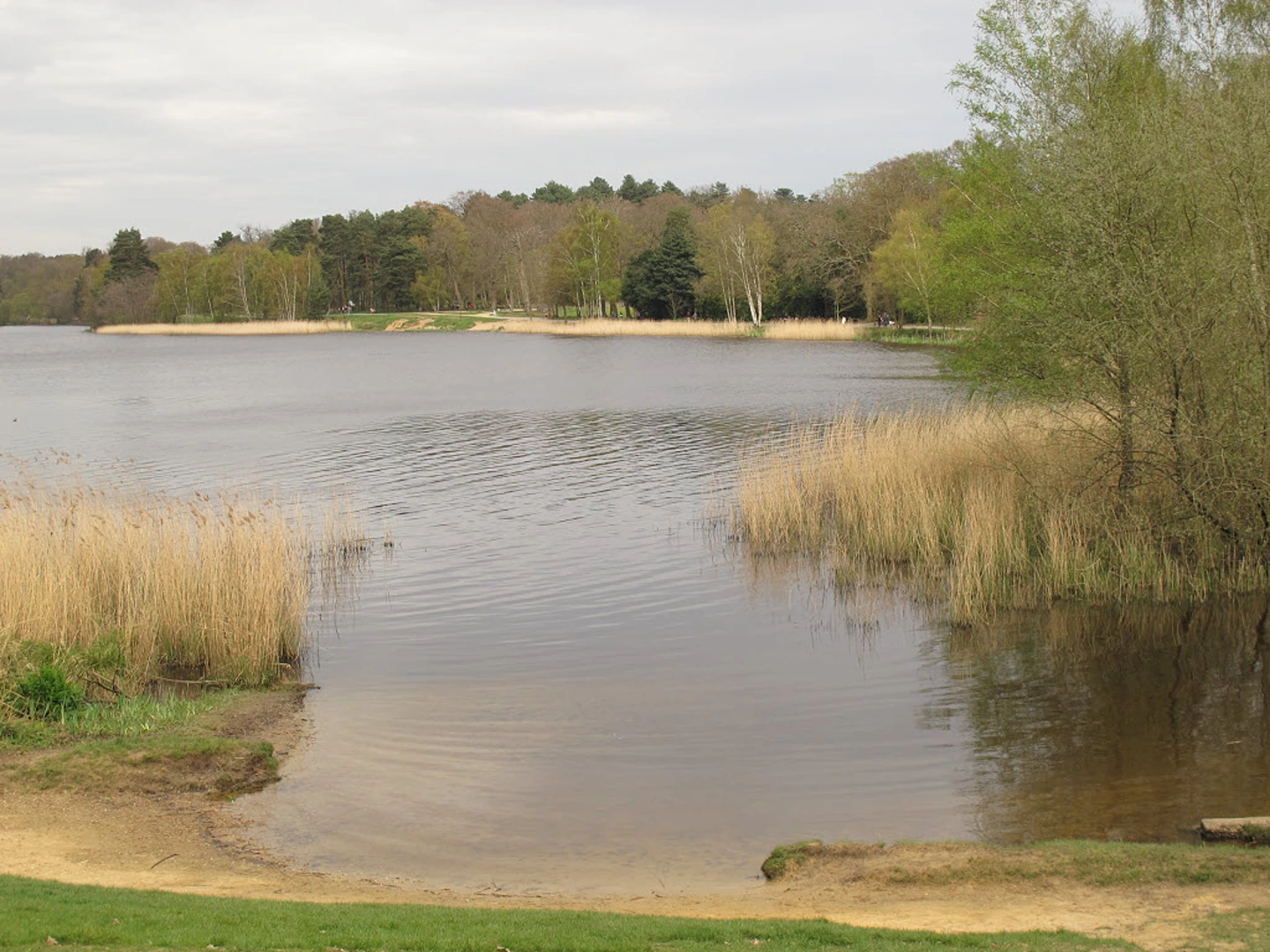 An image depicting the trail Oxshed Clump via Canadian Memorial Path and its surrounding area.