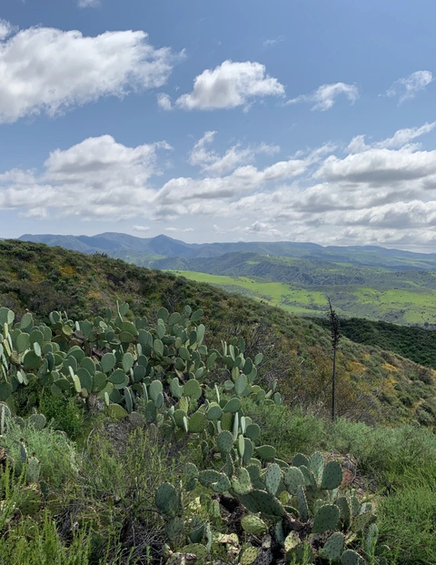 Juaneño Trail and Pump House Road Loop