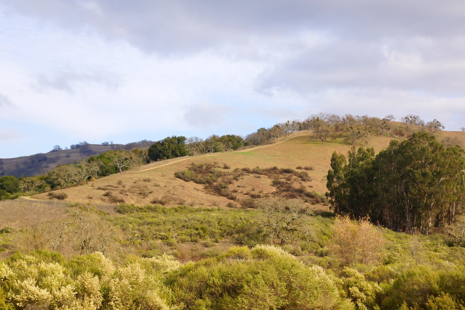 An image depicting the trail Yerba Buena and Los Huecos Loop Trail and its surrounding area.